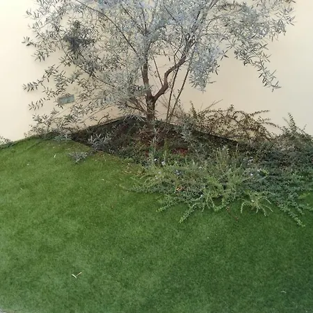 Soul & Heart דירה *