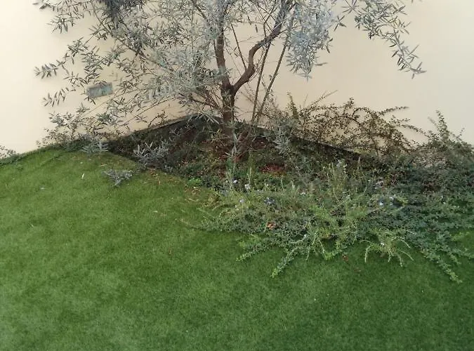 Soul & Heart דירה *